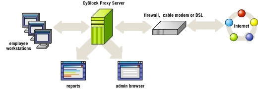 Proxy Server & Internet Filtering Software