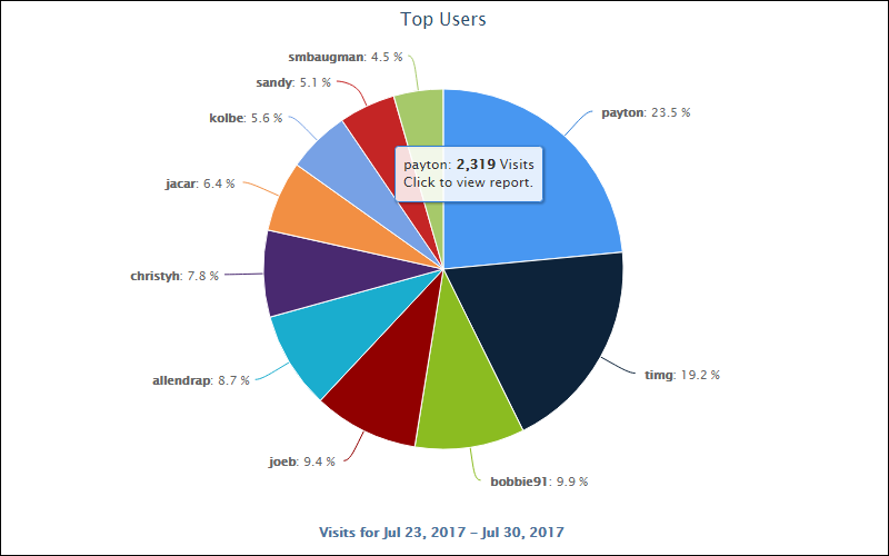 Cyfin CyBlock Reporting Top Users' Visits Pie Chart