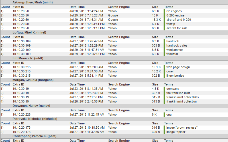 Cyfin Search Terms Audit Report